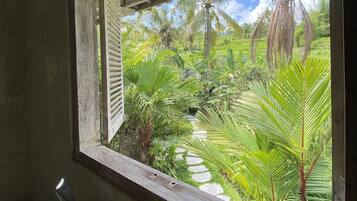 Bañera con ducha, secador de pelo, toallas