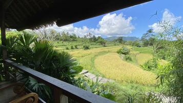 A view from a balcony overlooking a lush, terraced rice field with a thatched roof structure in the foreground.