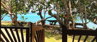 Little Bay Cabins
