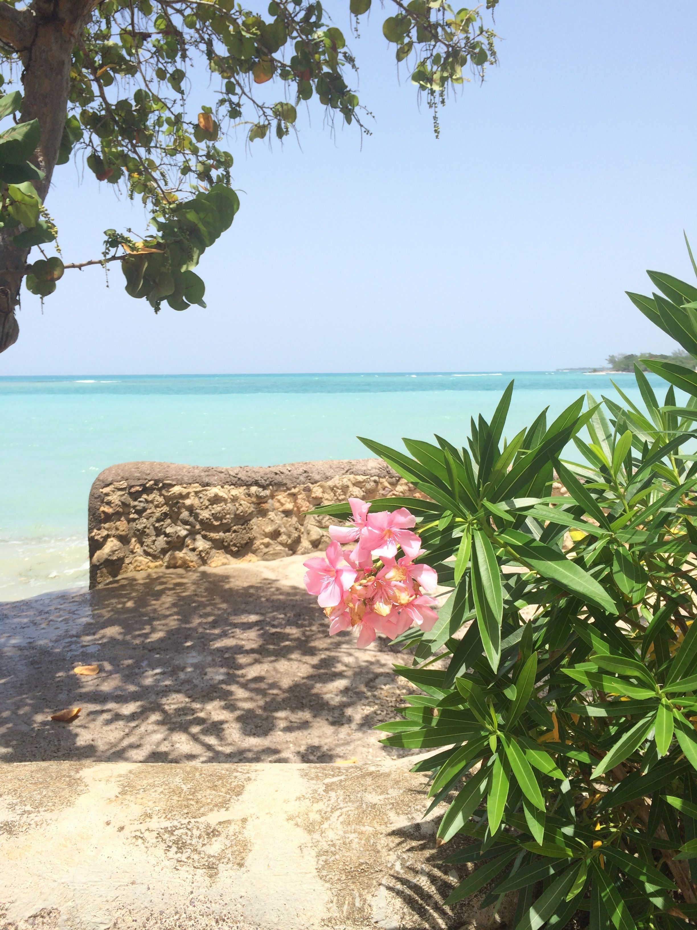 Vista desde la propiedad