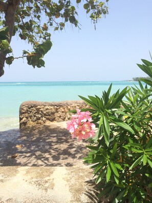 View from property - Little Bay Cabins (Little Bay)