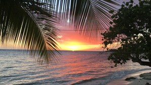 A sunset over a beach with palm trees and rocky shoreline. - Little Bay Cabins (Little Bay)