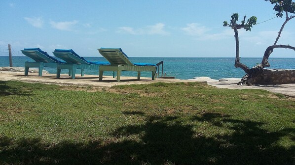 Property grounds - Little Bay Cabins (Little Bay)