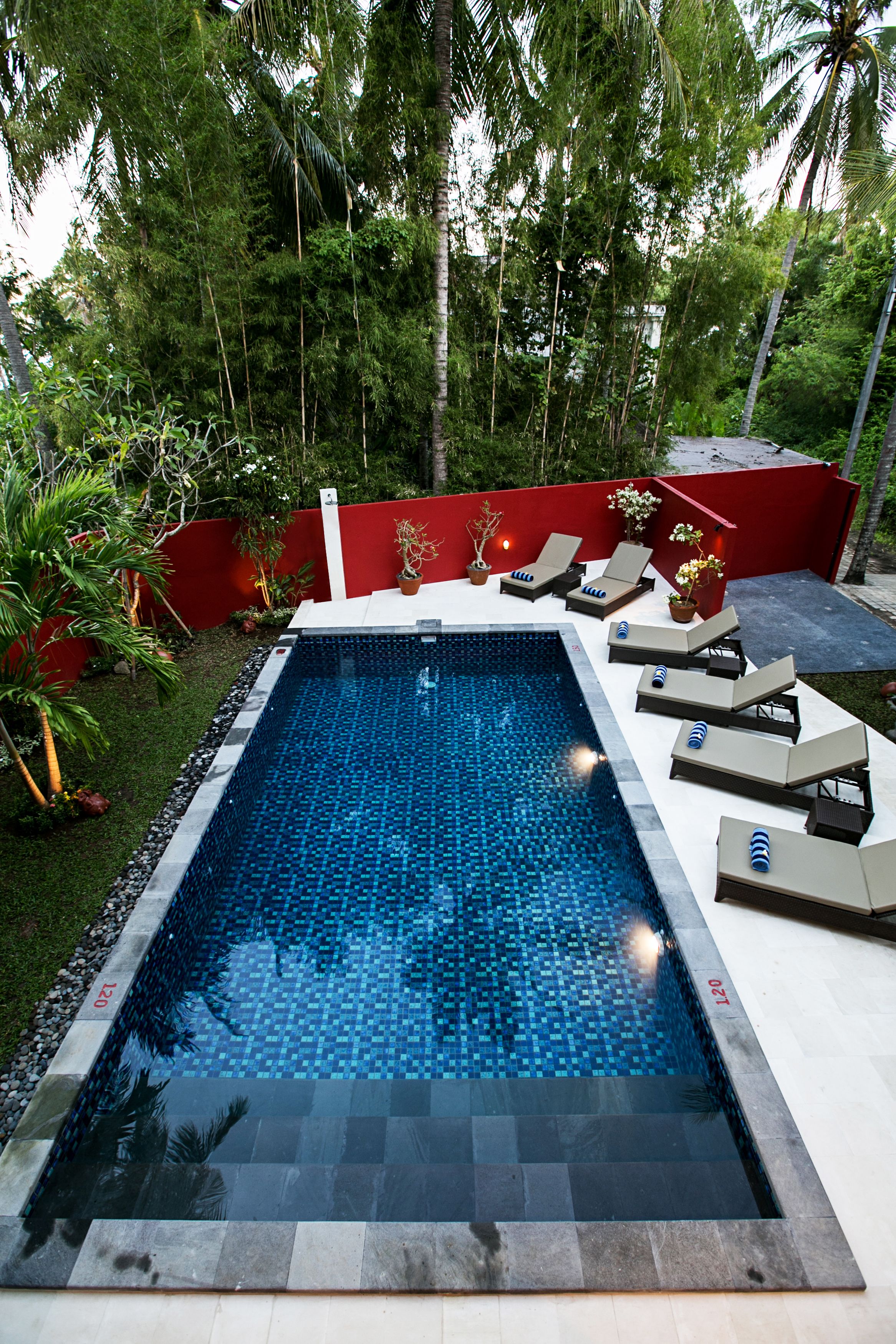 Una piscina rectangular con borde de azulejos, rodeada por un muro rojo y abundante vegetación.