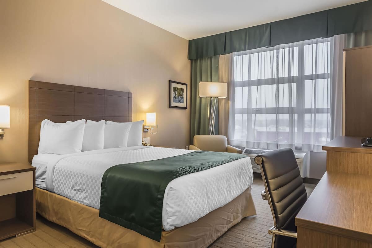 Habitación de hotel con una cama grande, un escritorio, una silla y una ventana con cortinas.