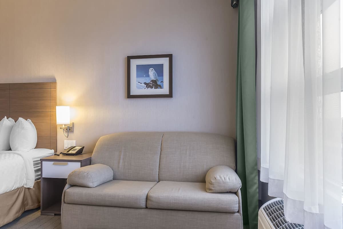 Habitación de hotel con cama, sofá, mesita de noche con lámpara, cuadro en la pared y ventana con cortinas translúcidas.