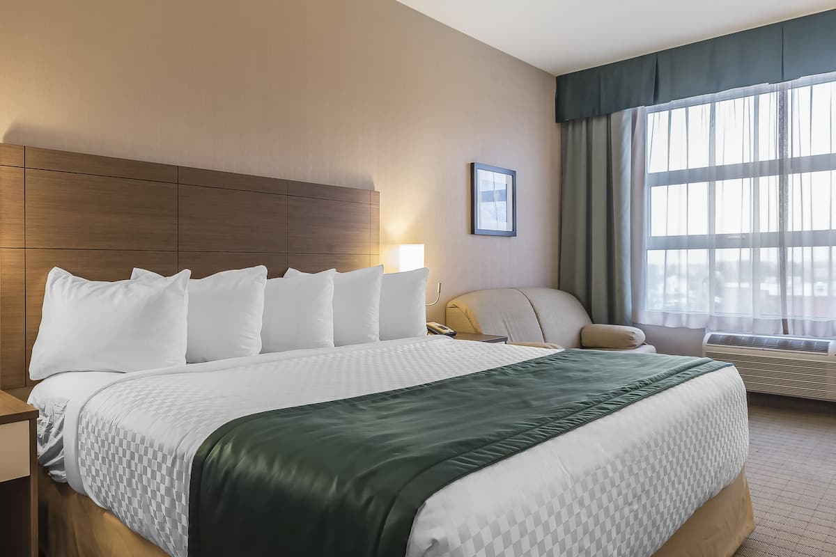 standard room, 1 king bed with sofa bed | in-room safe, desk, soundproofing, iron/ironing board