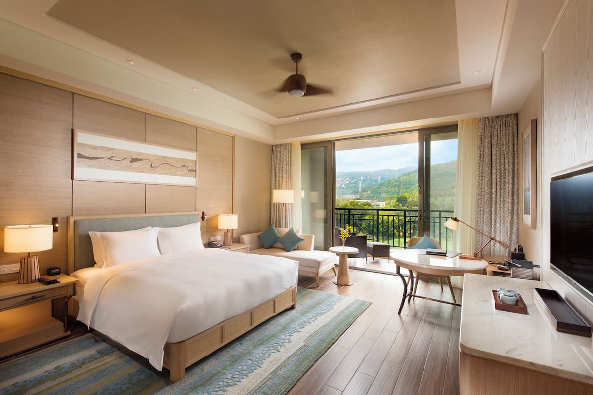 Room, 1 King Bed, Accessible