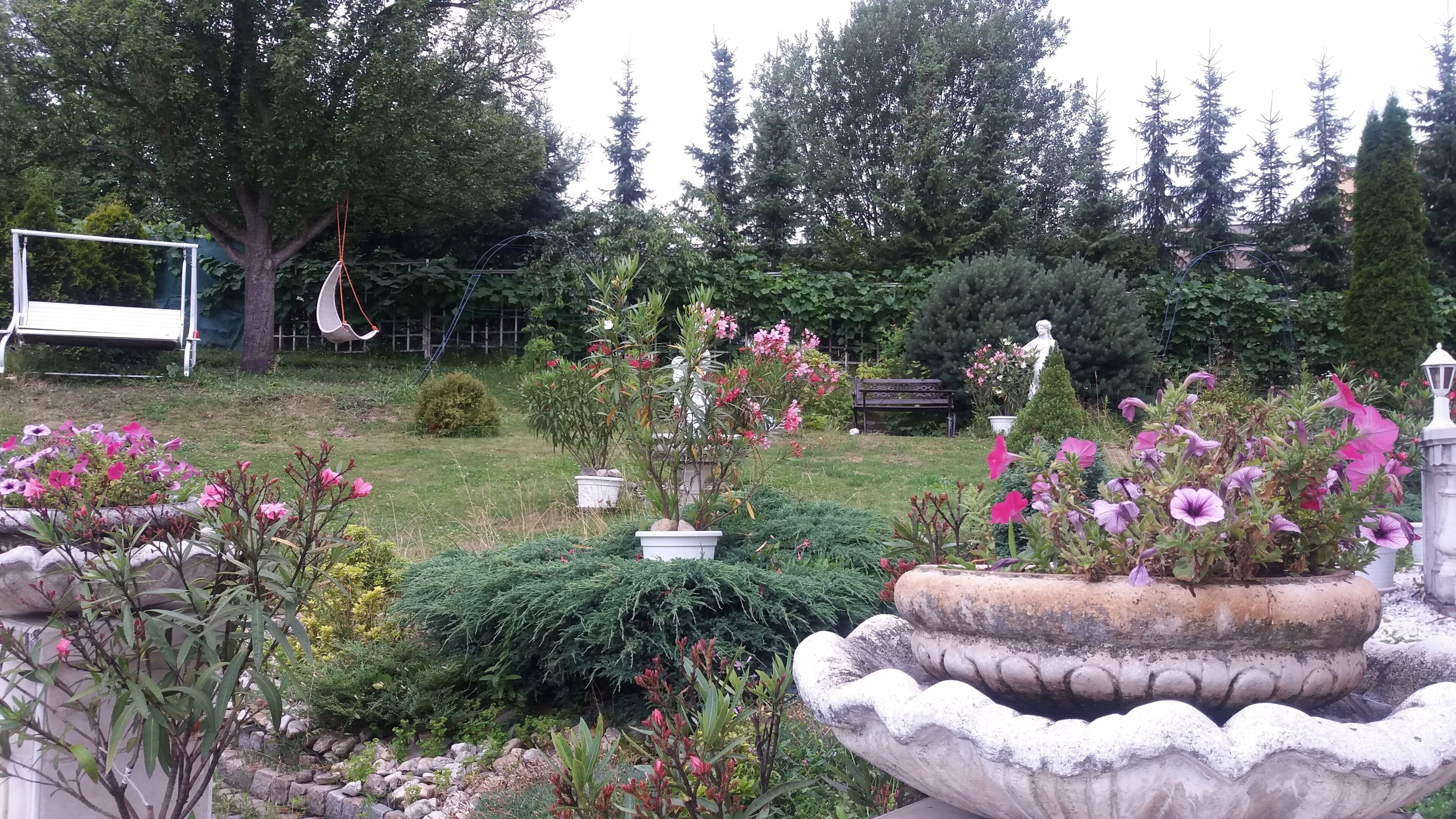 Photo - Hotel Garni