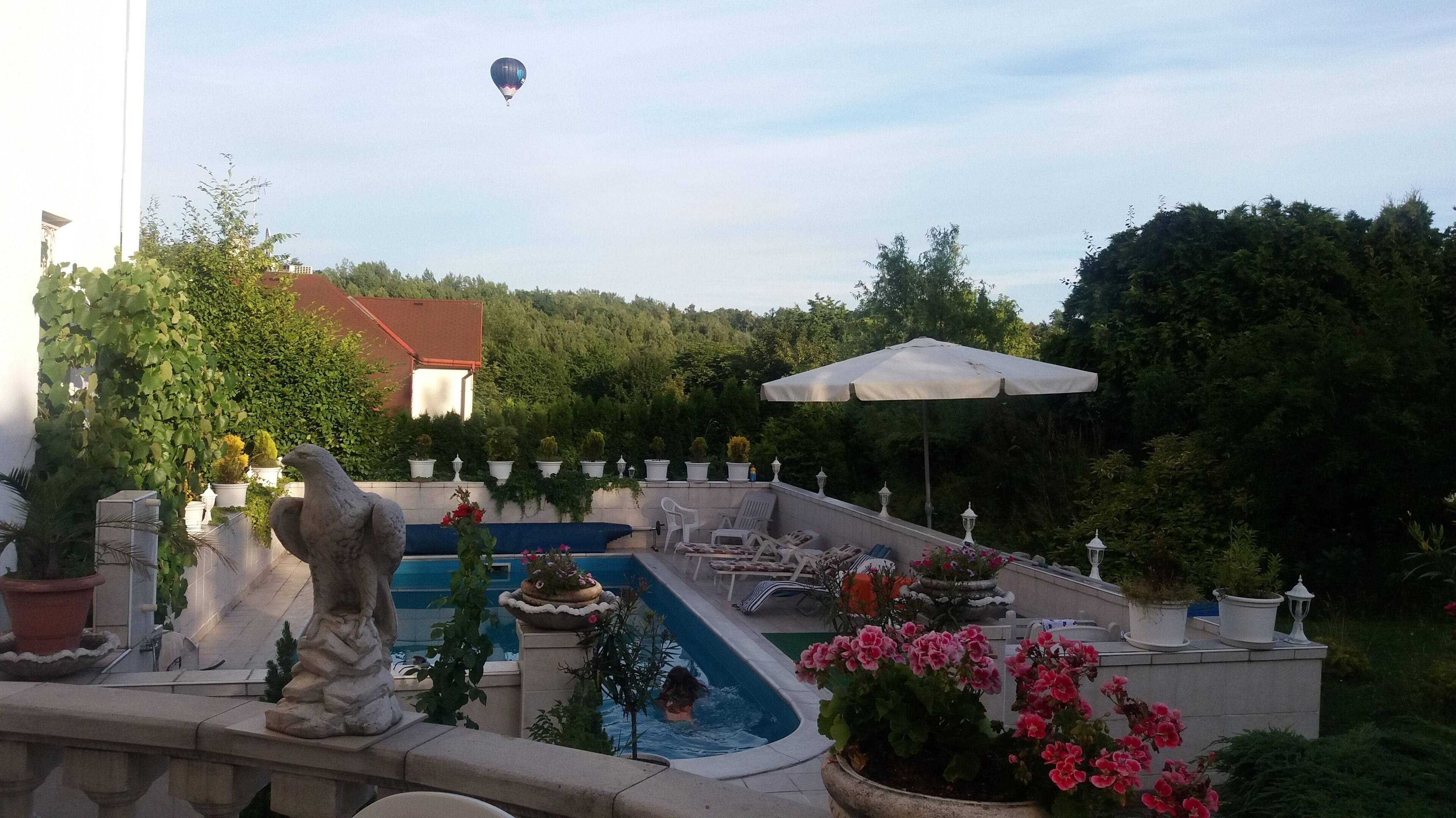 A swimming pool with a hot air balloon in the background, surrounded by potted plants and outdoor furniture.