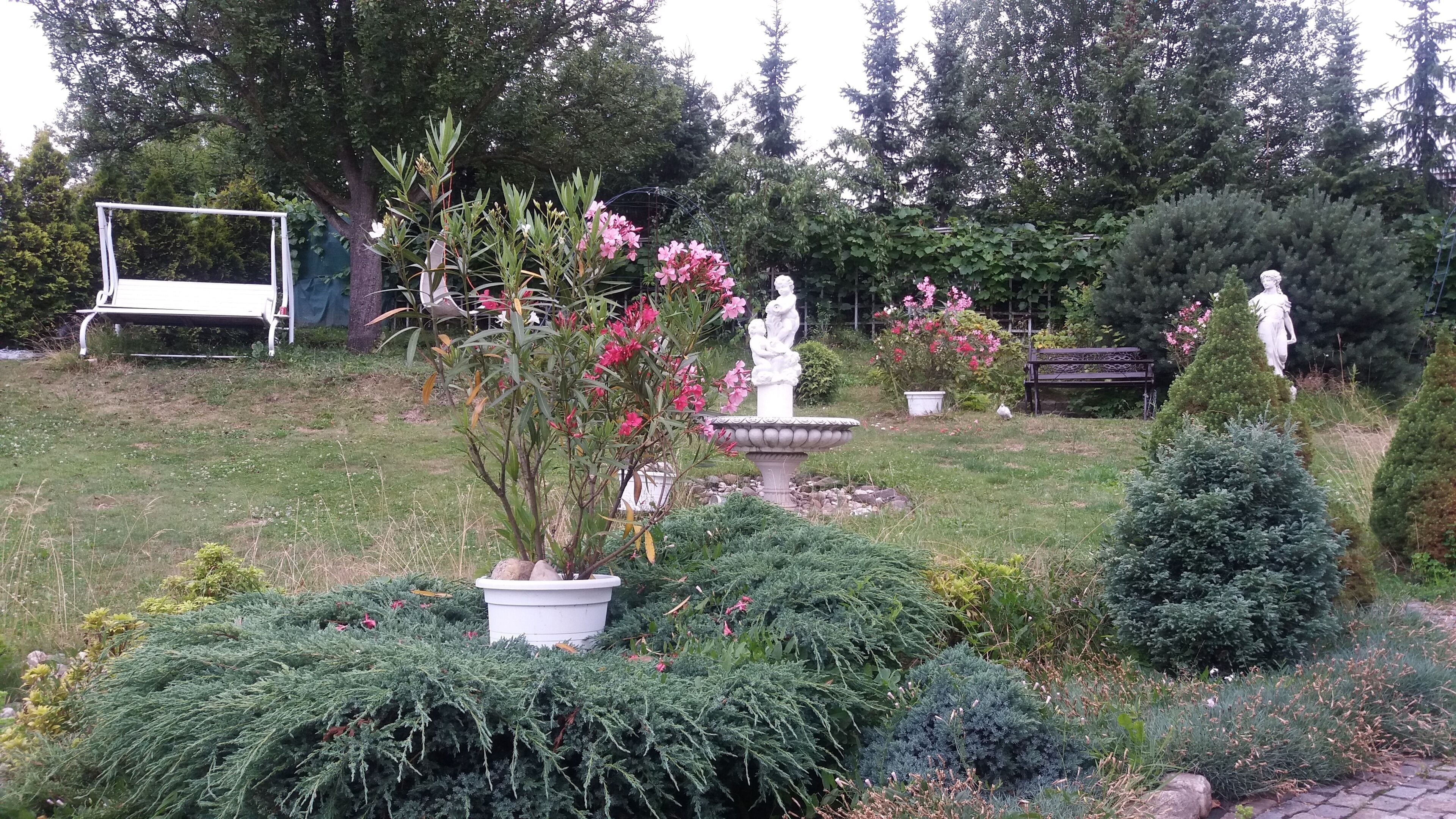 Photo - Hotel Garni