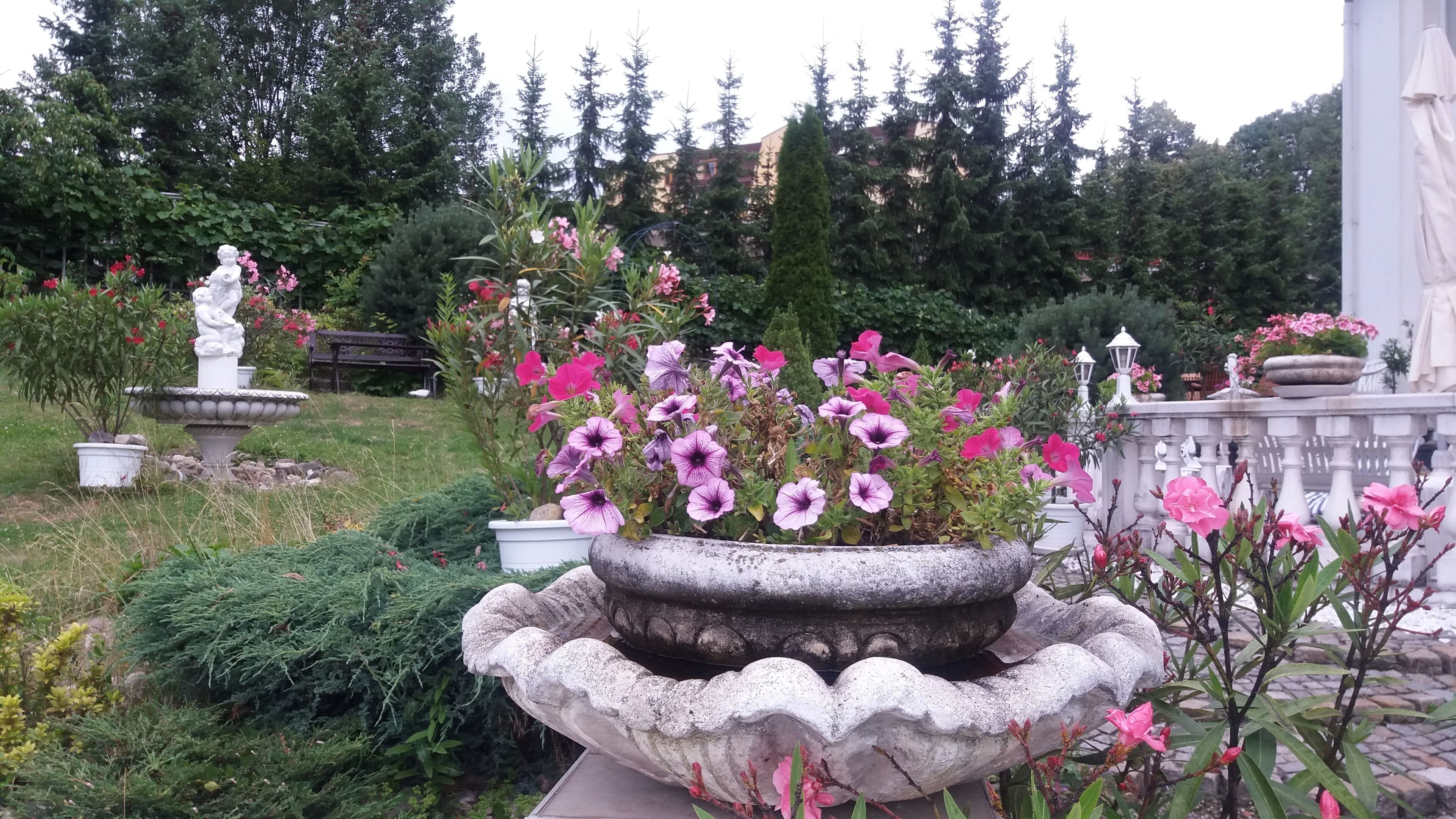 Photo - Hotel Garni