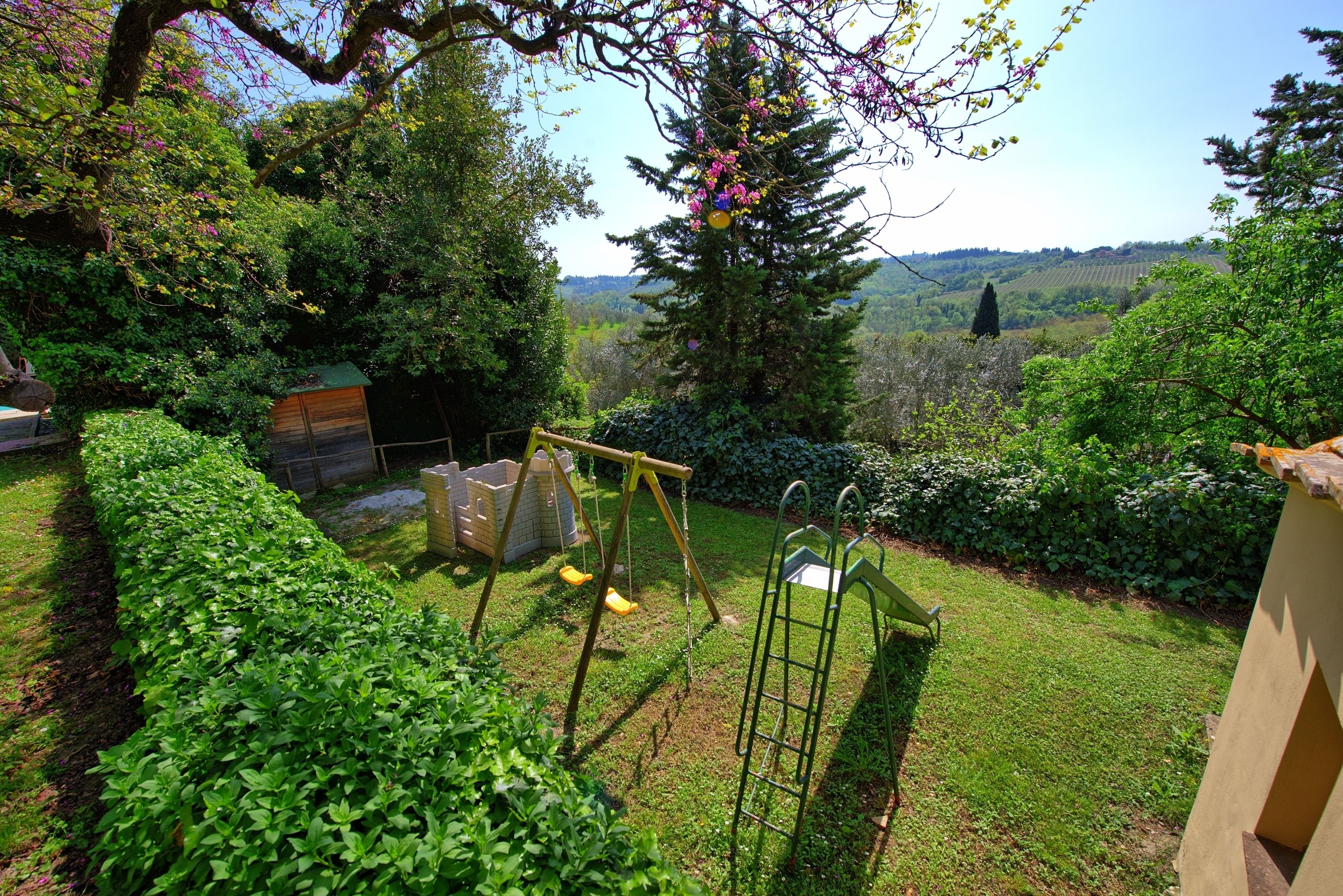 Un jardin avec une balançoire, une échelle et une structure en bois.
