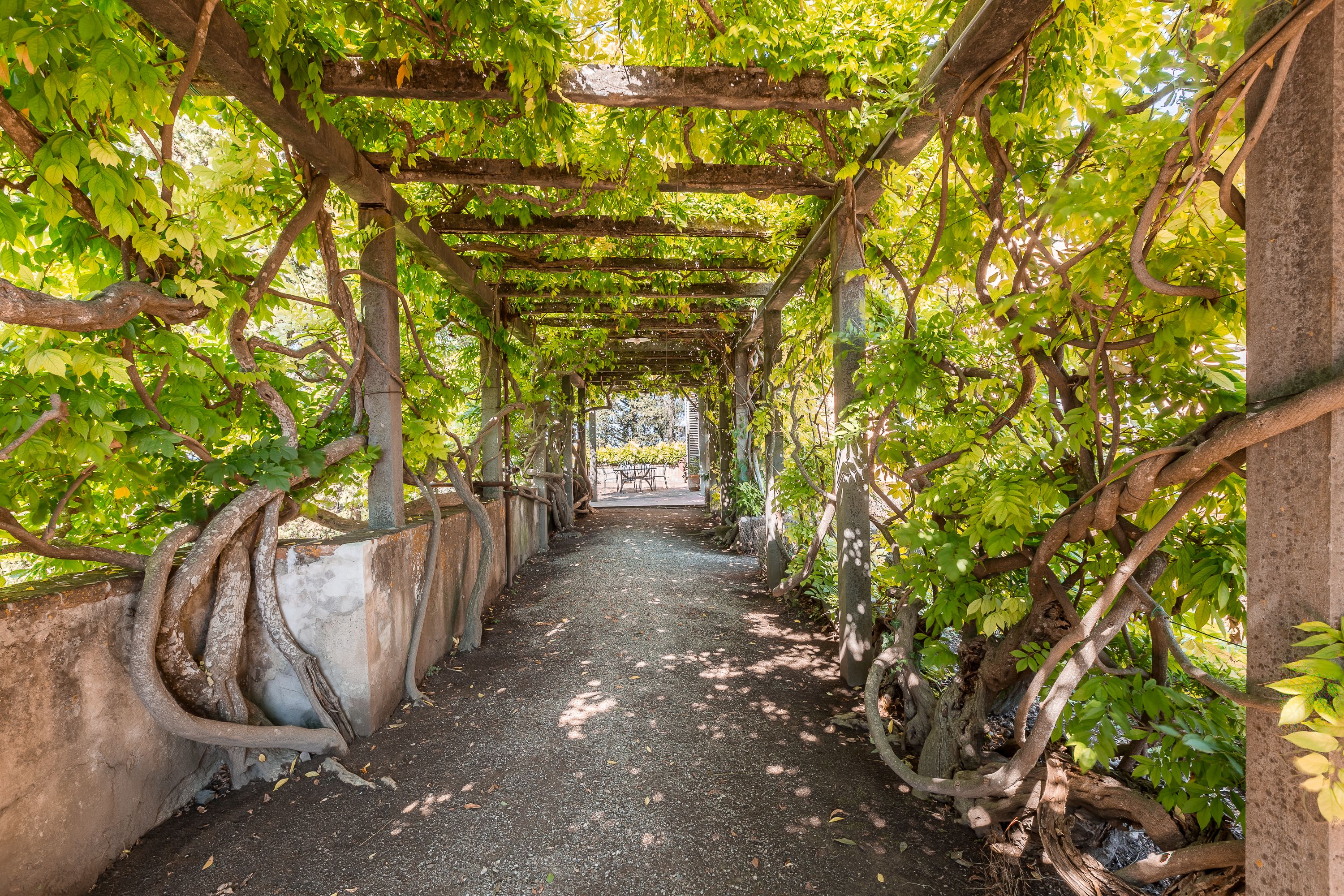Un sentier abrité, recouvert de gravier, bordé d’une végétation luxuriante et de plantes grimpantes.