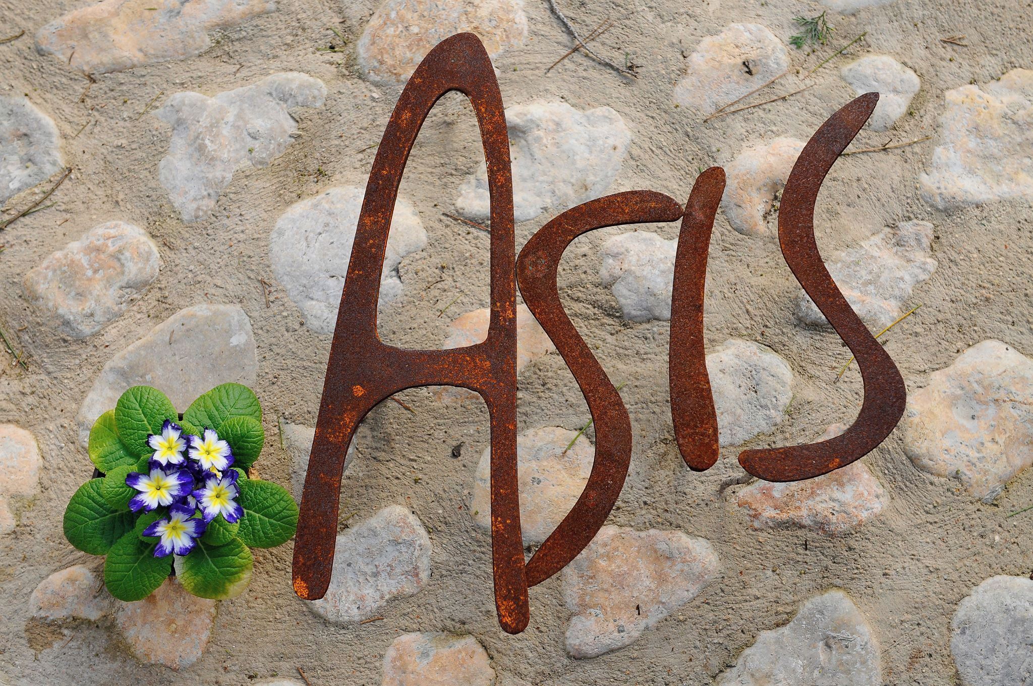 Foto - Asis de Marratxinet Turismo de Interior