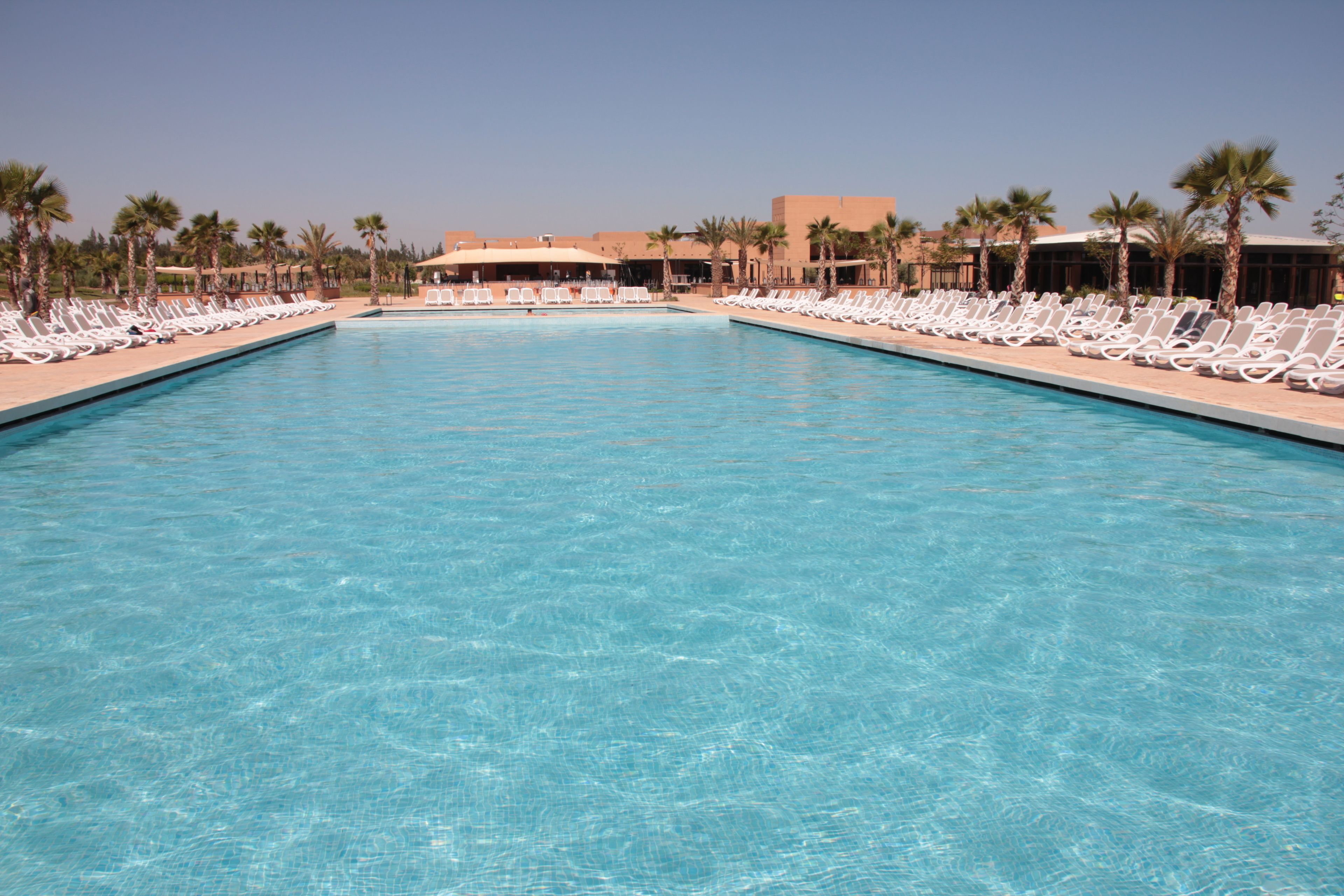 A rectangular swimming pool with clear blue water, surrounded by rows of white lounge chairs and palm trees.