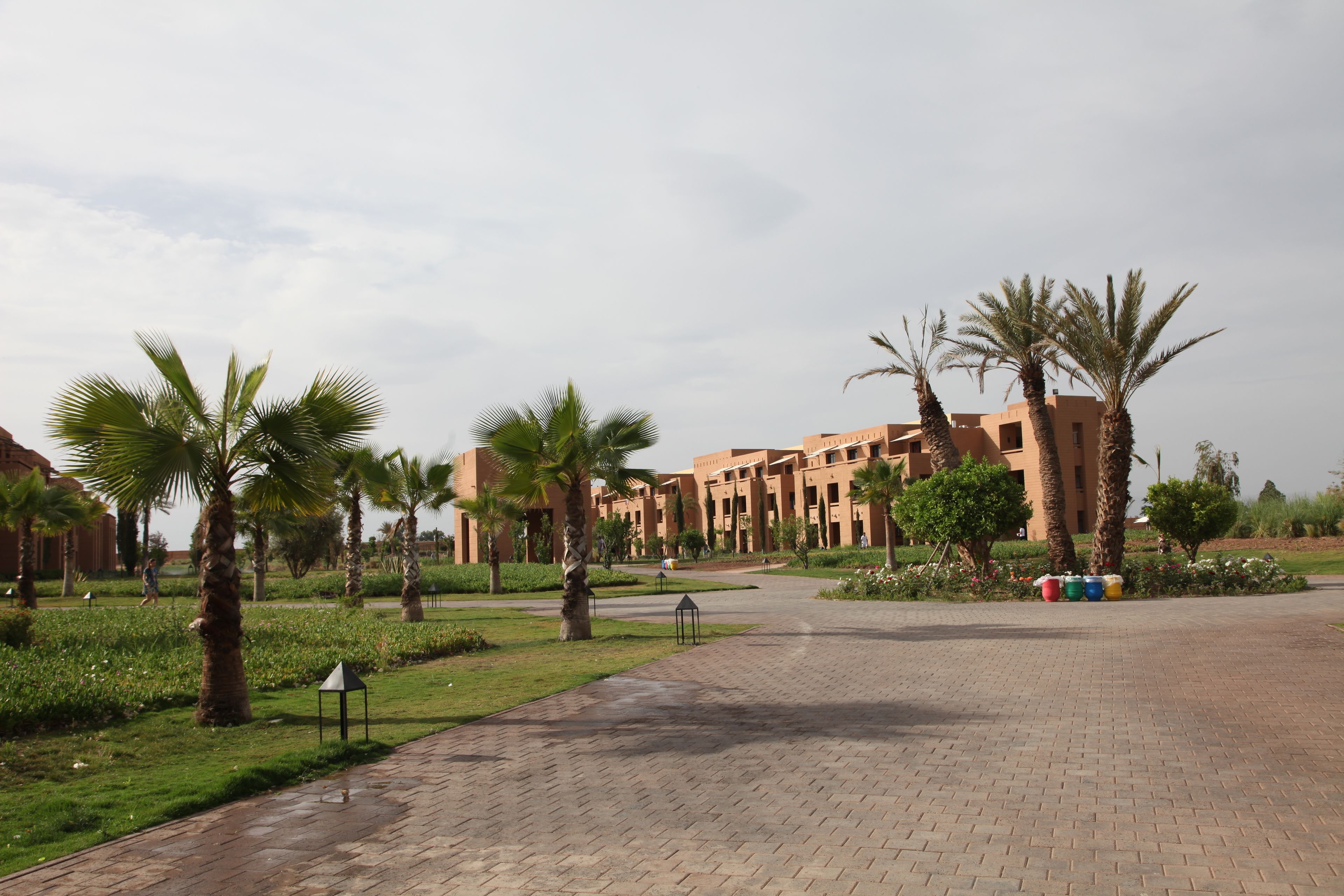 A paved pathway leading to a building with palm trees and greenery.