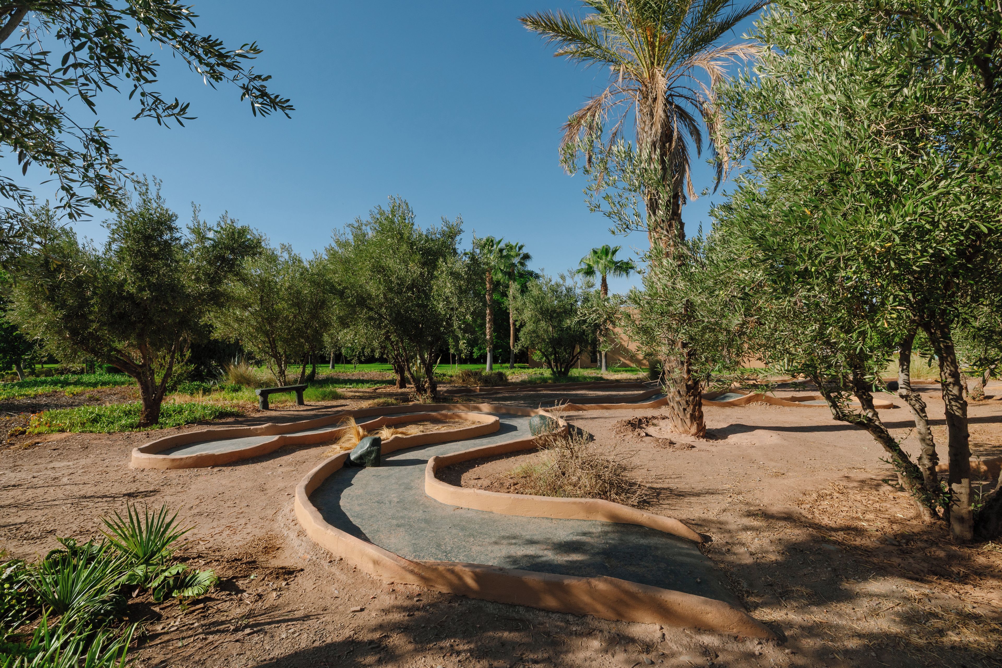 Un giardino curato con sentieri sinuosi, alberi e una panchina.
