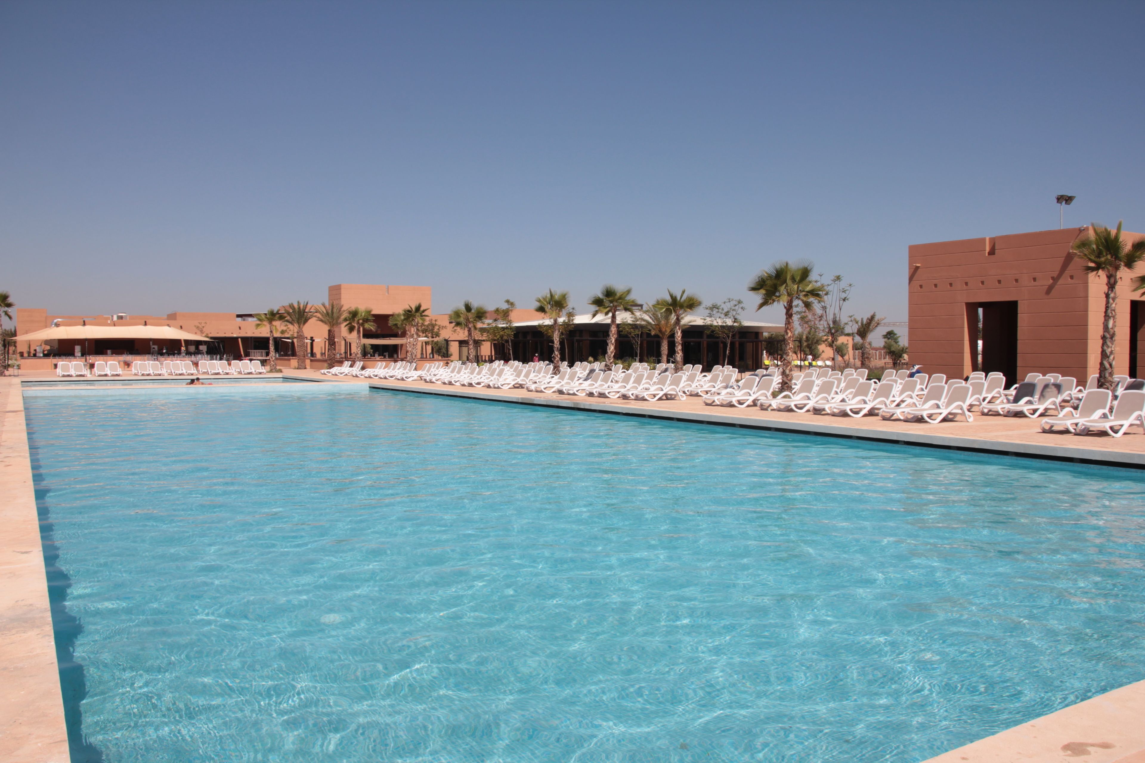 A swimming pool with lounge chairs and palm trees.