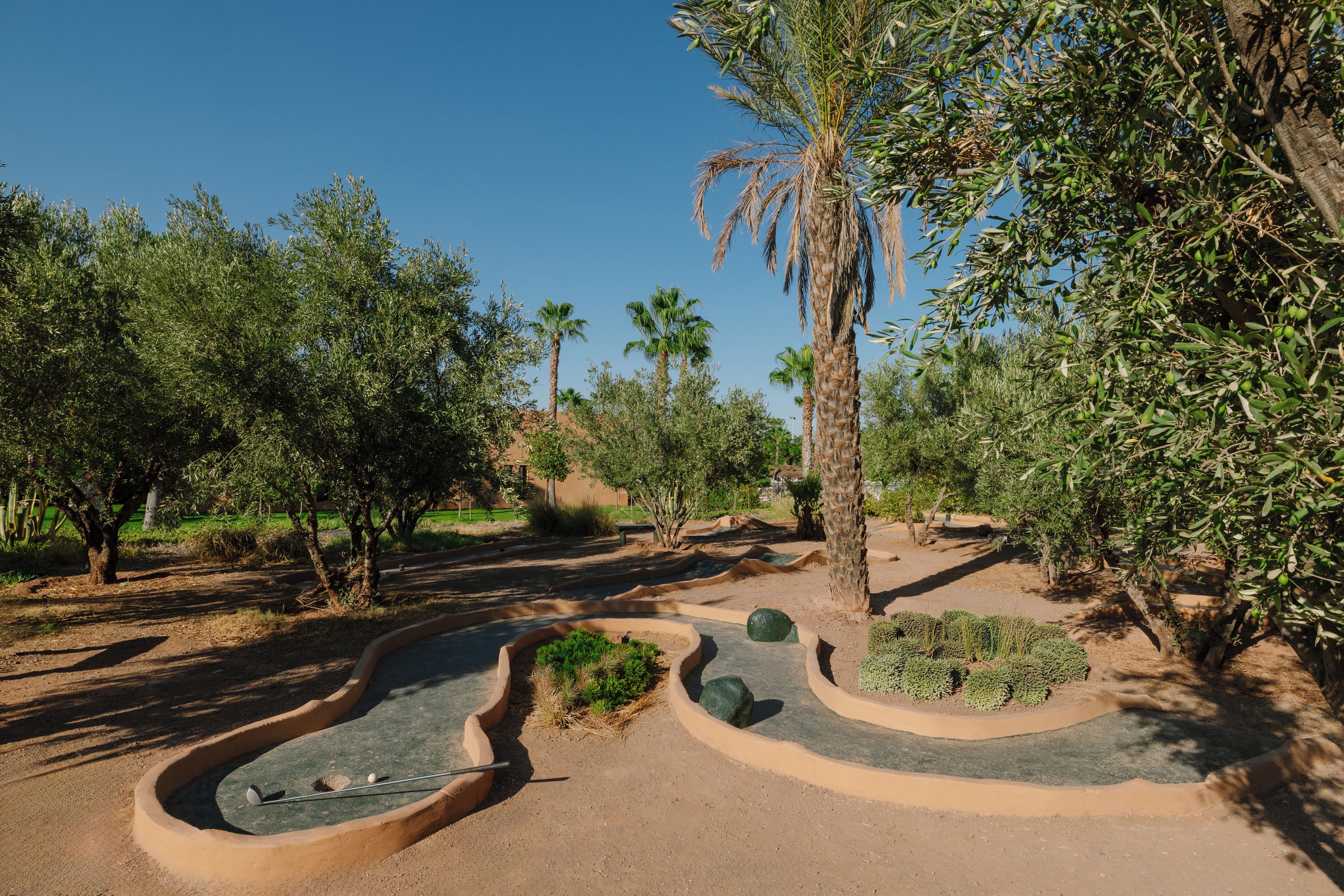 A landscaped garden with palm trees, a winding path, and a small pool area.