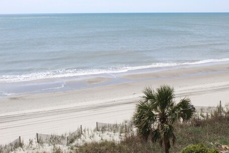 Oceans One Resort - Image 97