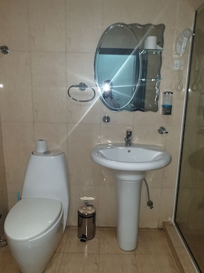 Shower, free toiletries, hair dryer