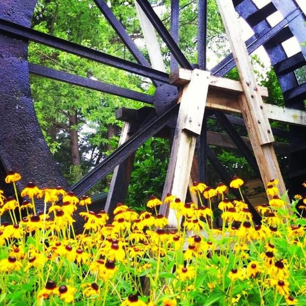 A large wooden structure with metal beams, surrounded by yellow flowers. - Anvil Campground (Williamsburg)