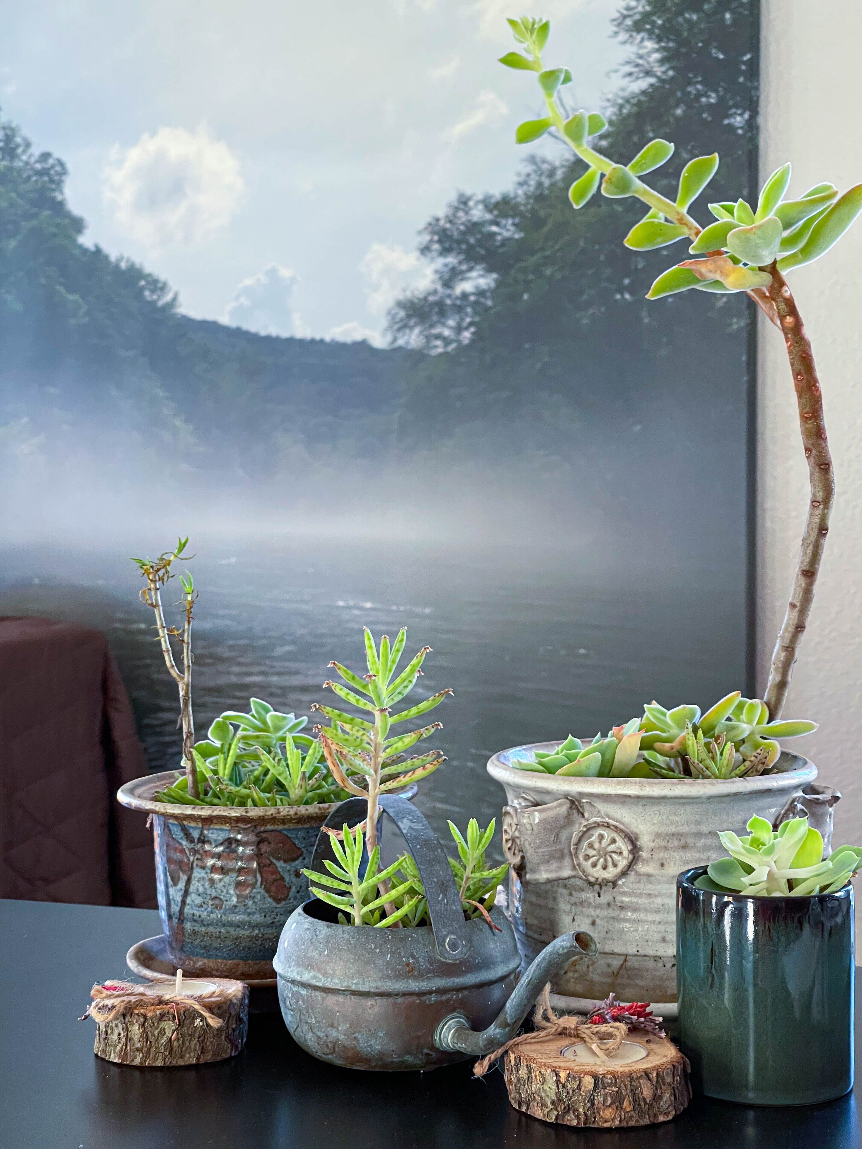 Een tafel met vier potplanten, een metalen theepot en een kandelaar.