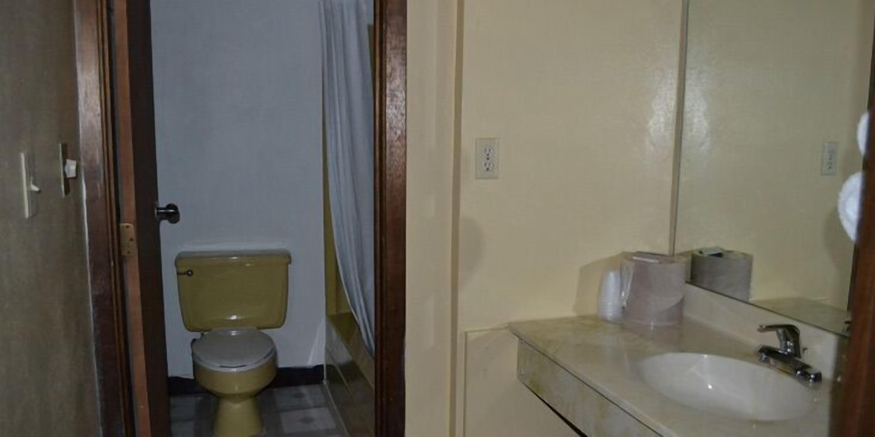 Een badkamer met toilet, wastafel en spiegel.