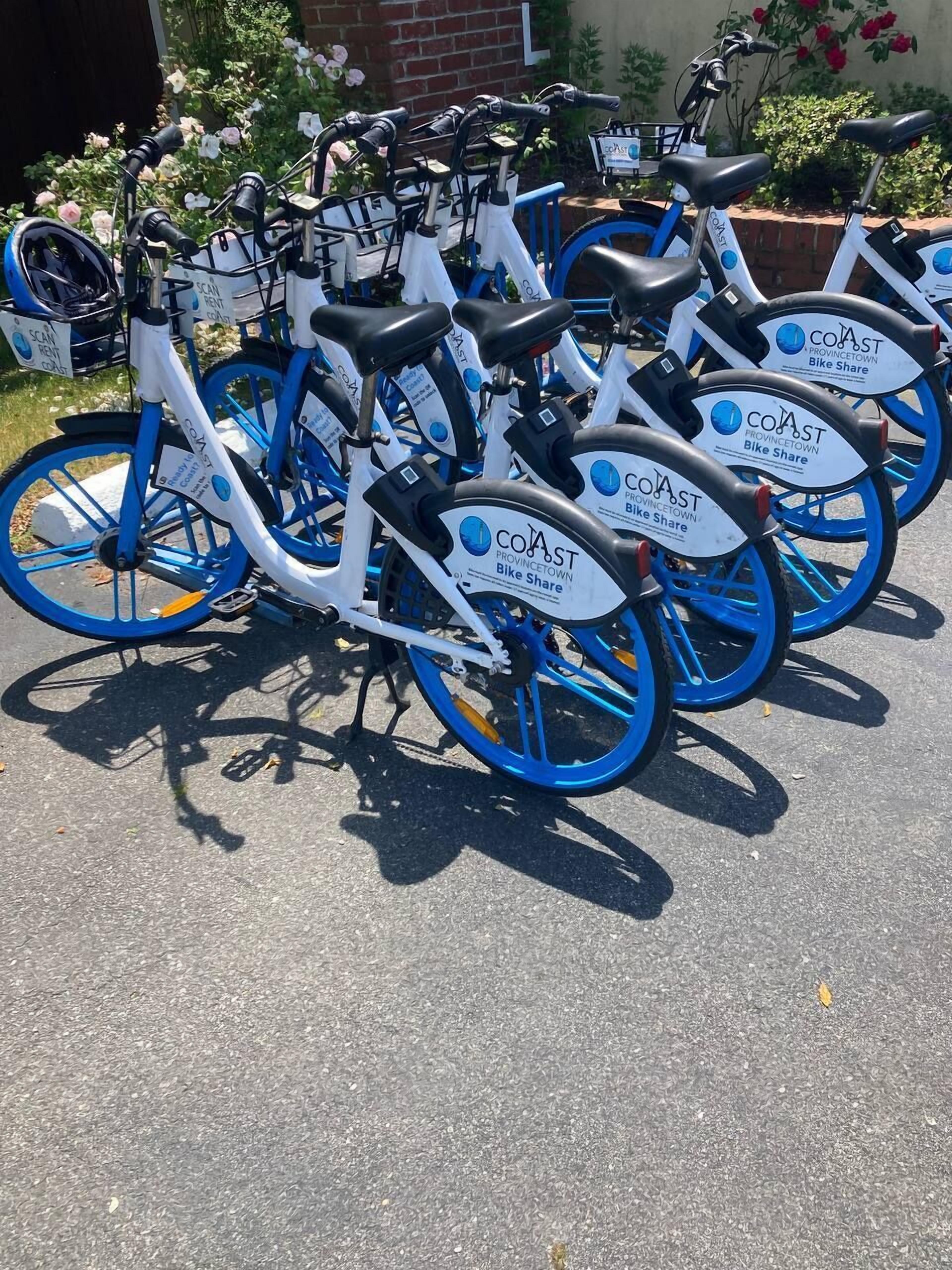 A row of blue and white bicycles with "Coast Provincetown Bike Share" labels, parked on a paved surface.
