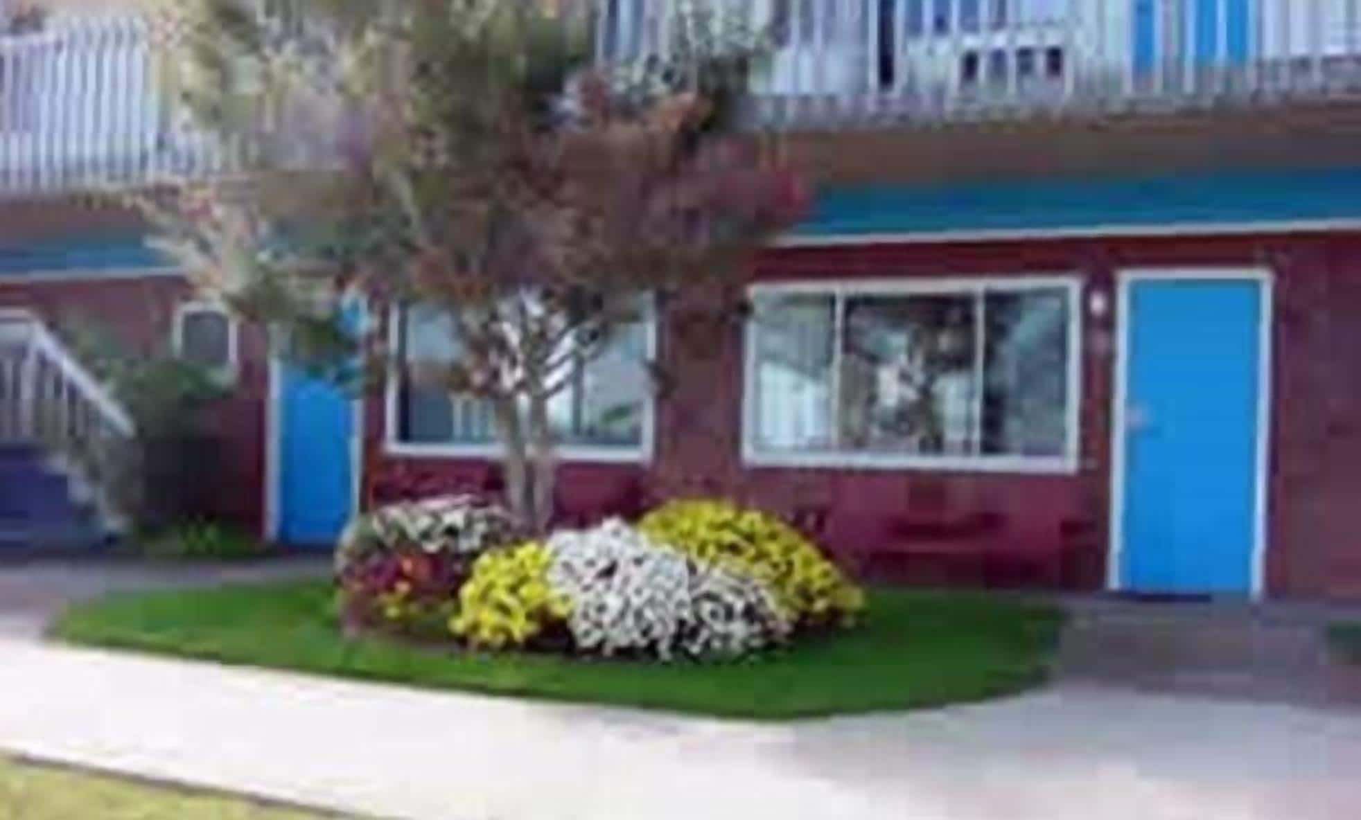 A two-story building with a red and blue facade, a small front yard with various plants, and a visible door.
