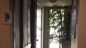 Laatoitettu käytävä, jossa on kattovalaisin ja ruukkuistutettu kasvi käytävän päässä.