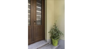 A wooden door with a glass panel and a potted plant beside it. - Easy Venice Room (Mestre)