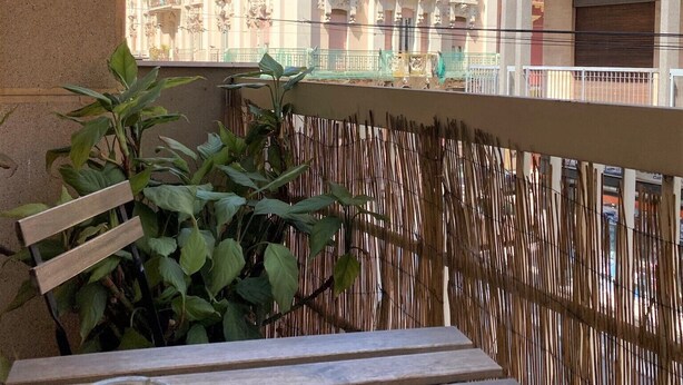 Un balcón con banca de madera, un cenicero de vidrio y vistas a un edificio histórico de arquitectura ornamentada.
