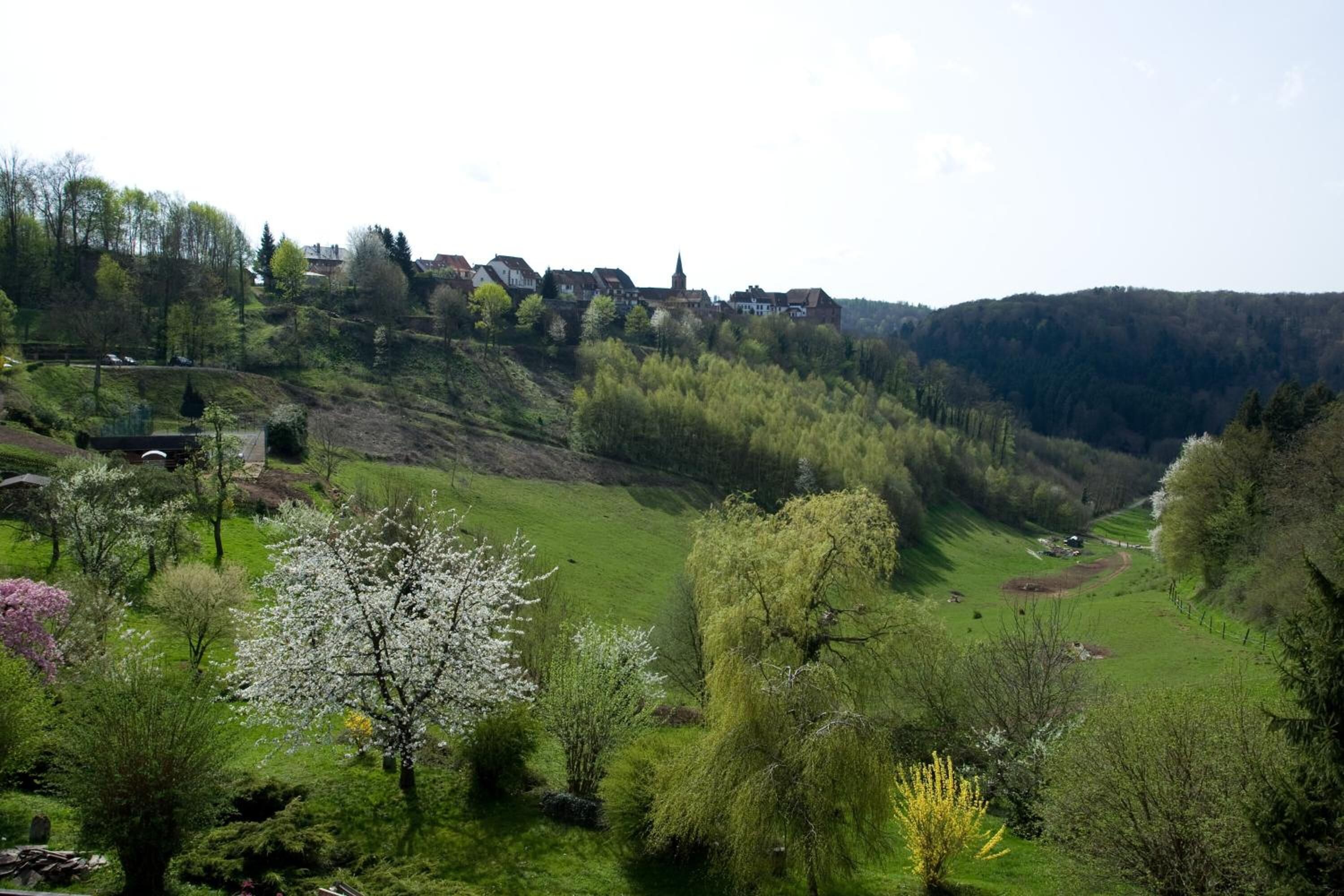 Une vallée verdoyante et luxuriante, avec une ville historique perchée sur une colline, entourée d’arbres et sous un ciel dégagé.