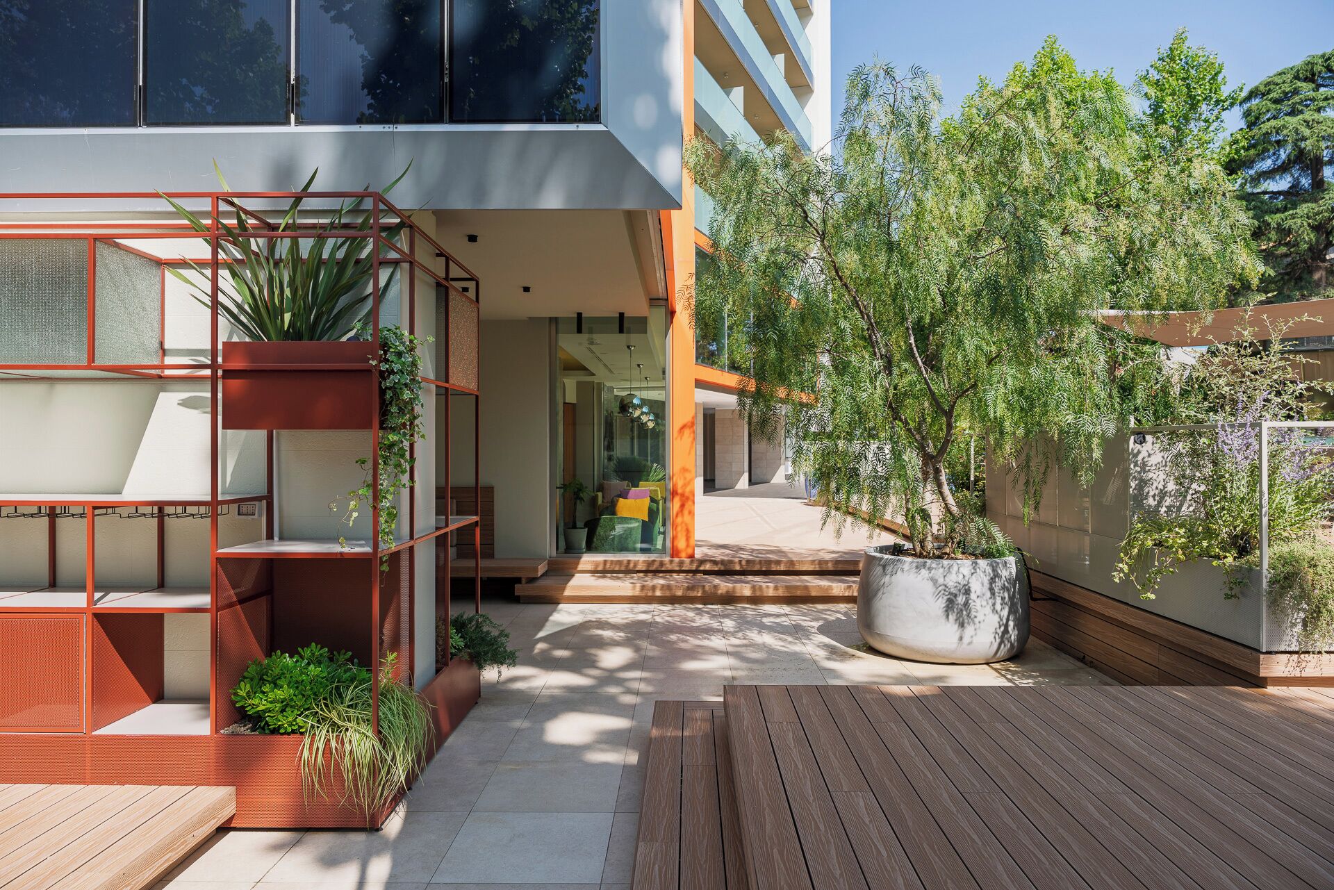 A modern outdoor space with a wooden deck, a large potted plant, and a metal structure with plants.