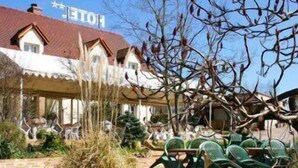 Taman