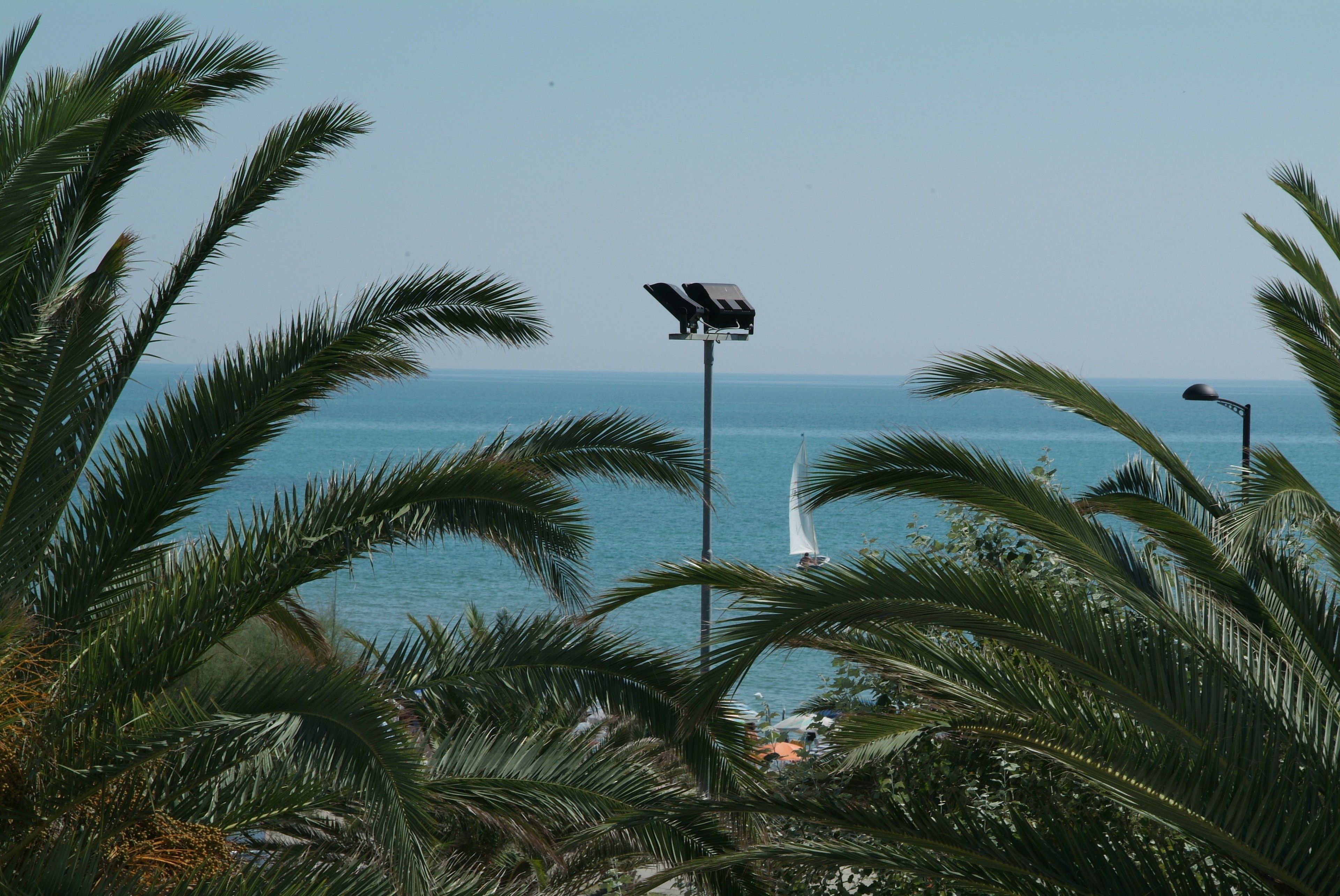 beach nearby, sun-loungers, beach umbrellas