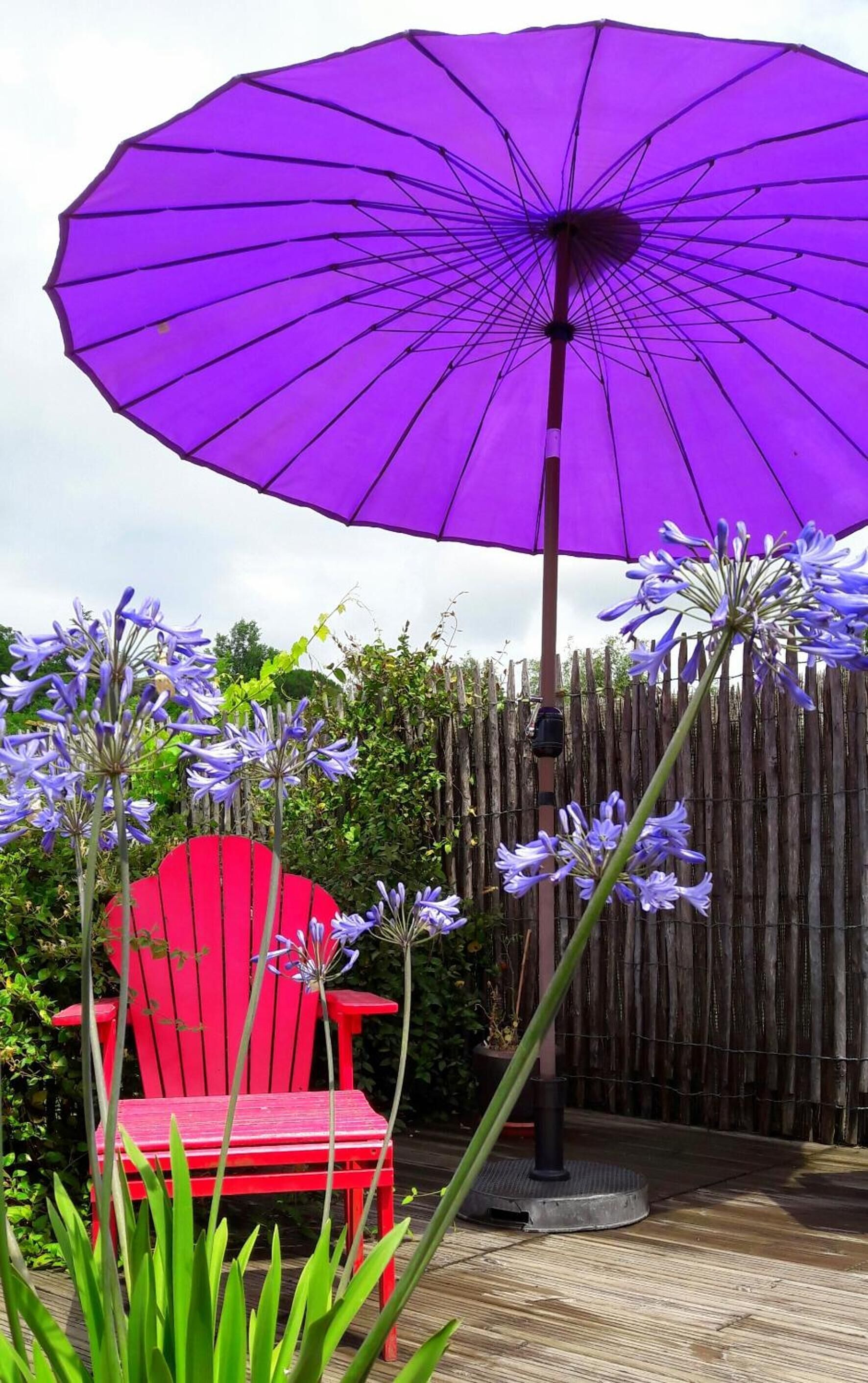 Une chaise rouge et un parasol violet dans un jardin avec une clôture en bois et des fleurs violettes.