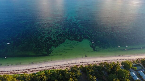 Vista aerea di una spiaggia con acque cristalline, imbarcazioni e una battigia sabbiosa con palme.