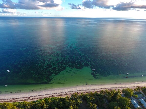 在海灘附近、沙灘巾