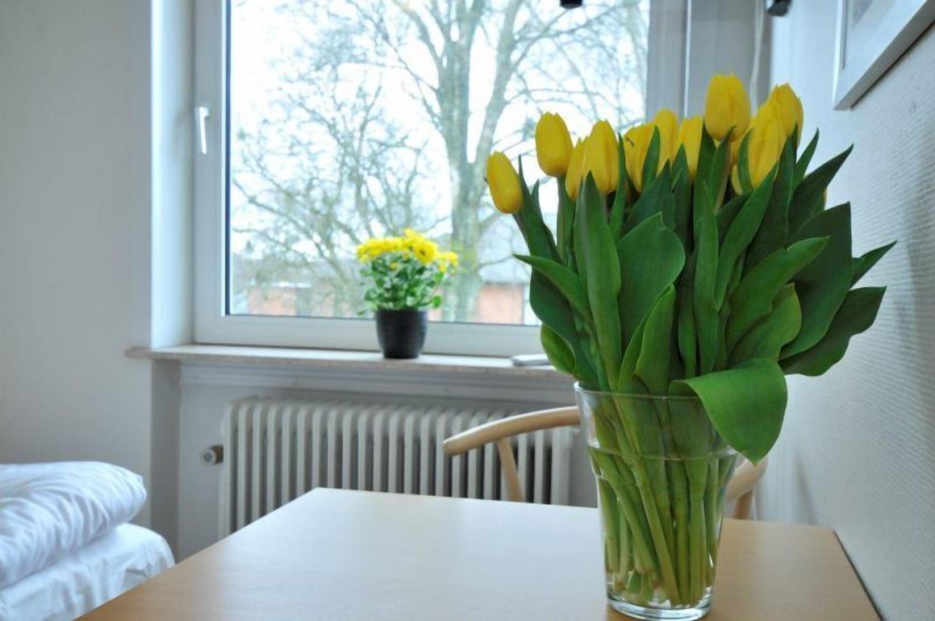 Une pièce avec un lit, une table ornée d’un vase de tulipes jaunes et une fenêtre donnant sur des arbres et une petite plante en pot.