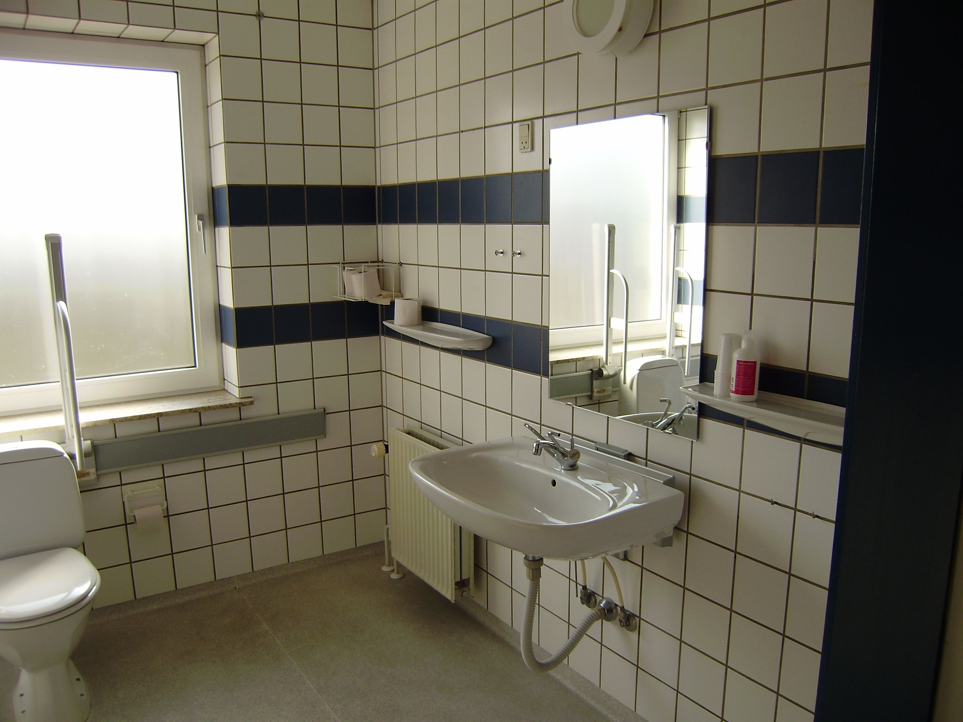 A bathroom with a toilet, sink, and mirror.