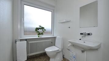 A bathroom with a toilet, sink, and window.