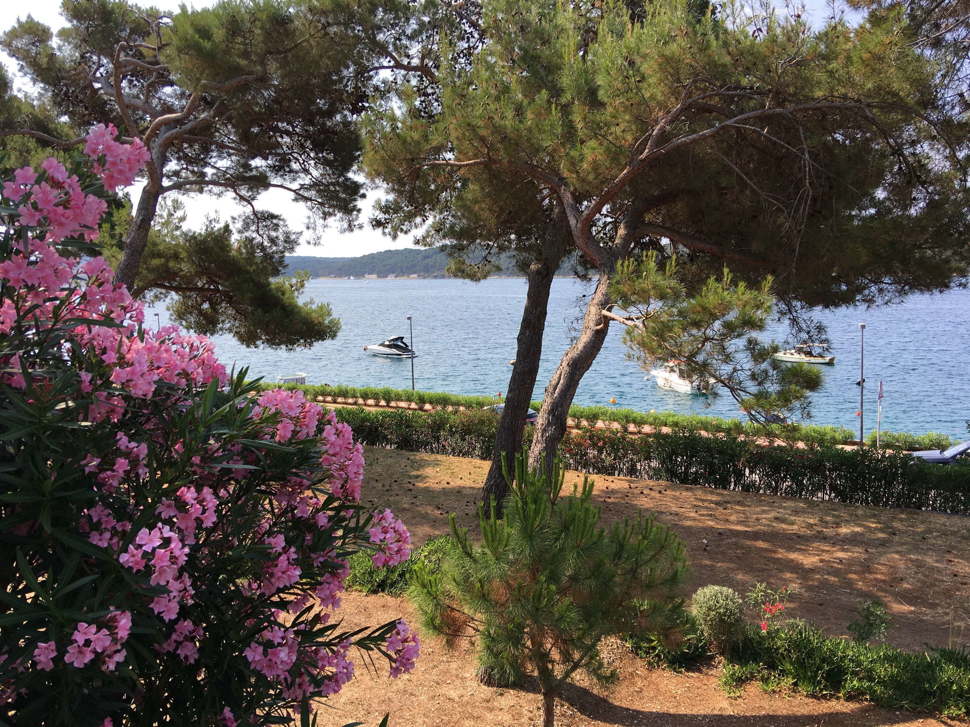 Blick von der Unterkunft