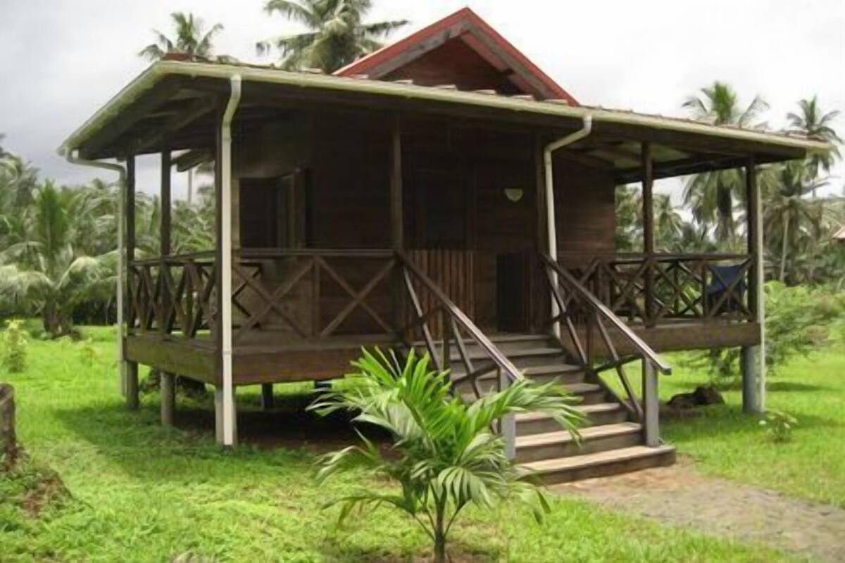 A wooden house with a porch and stairs, surrounded by lush greenery and palm trees.