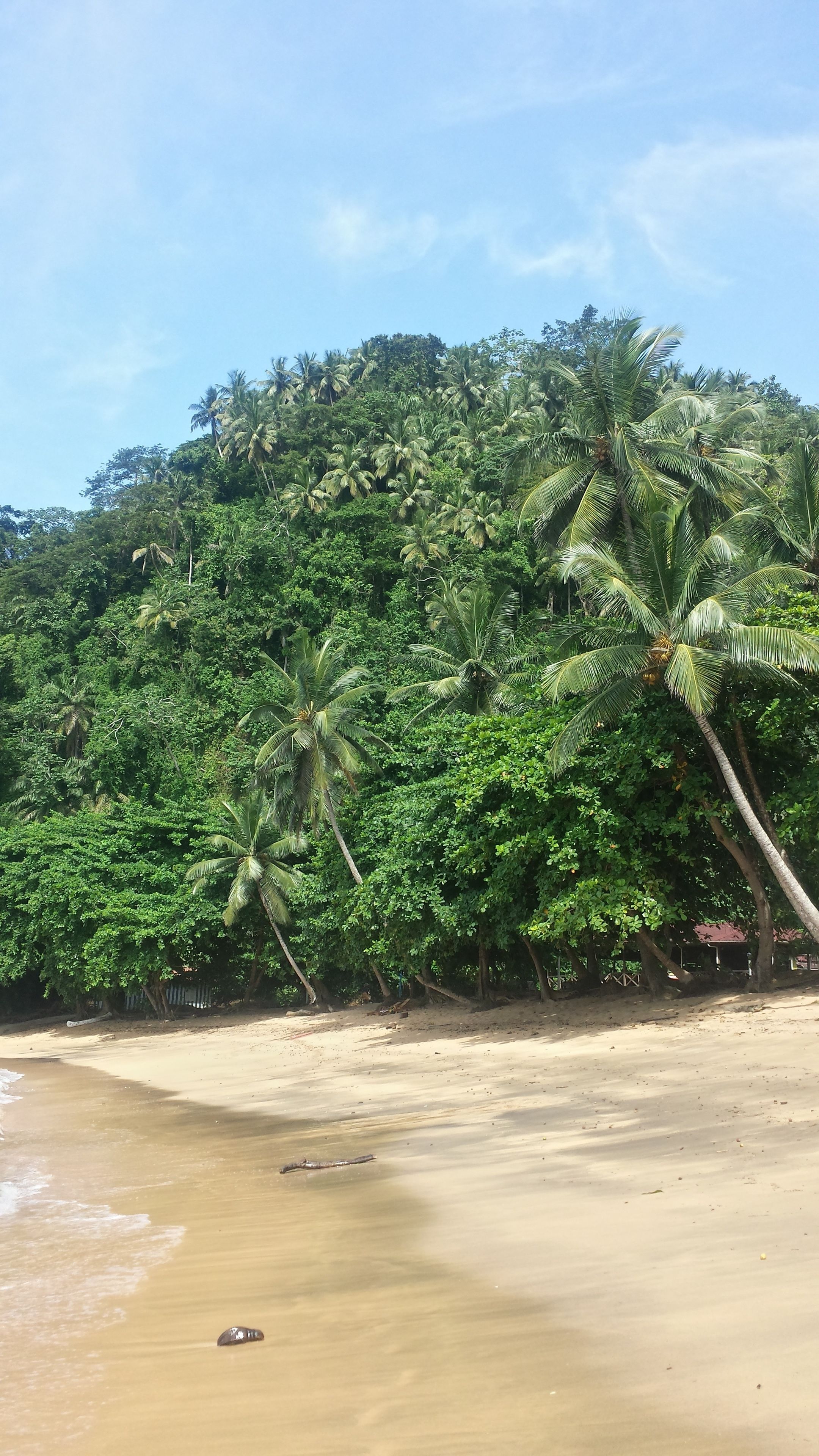 Strand