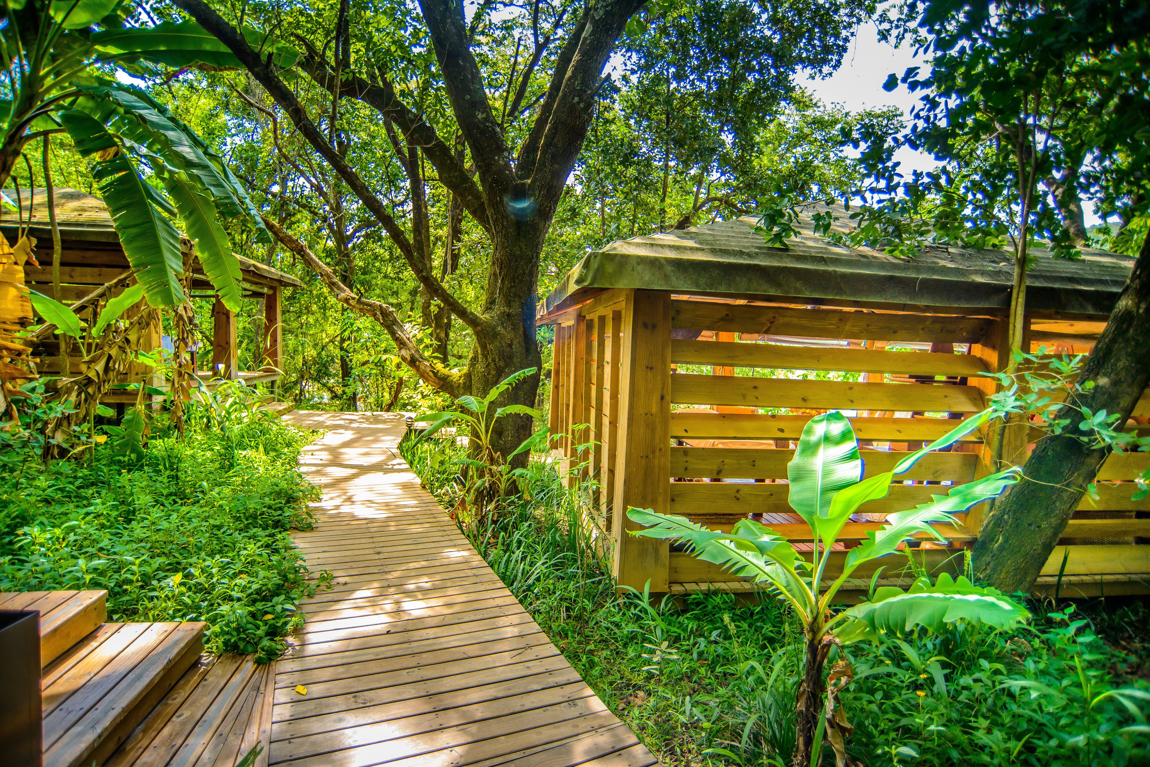 Phòng trị liệu đôi, bồn tắm thủy lực, trị liệu toàn thân 