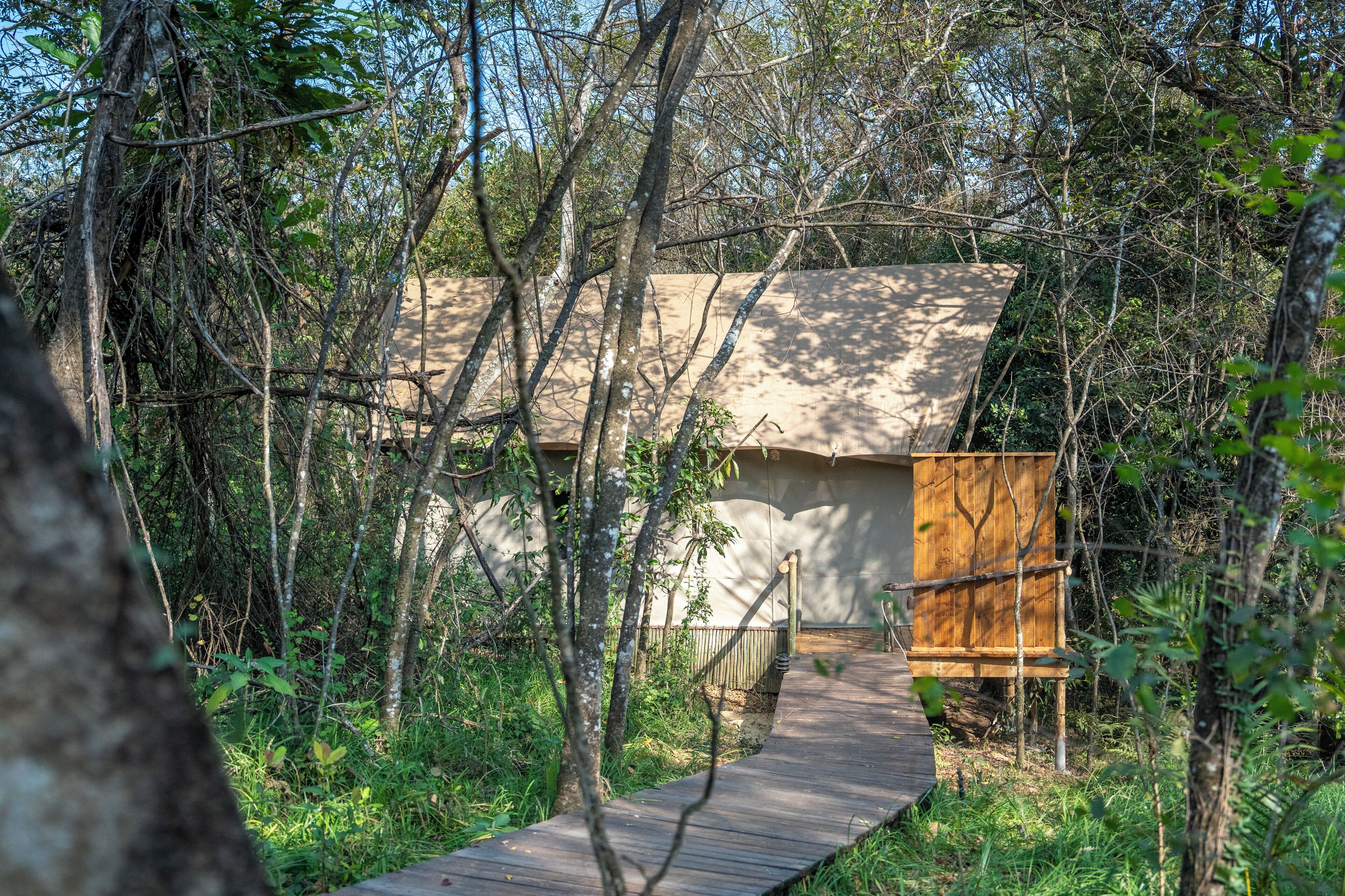 A wooden pathway leading to a rustic wooden cabin surrounded by dense foliage.