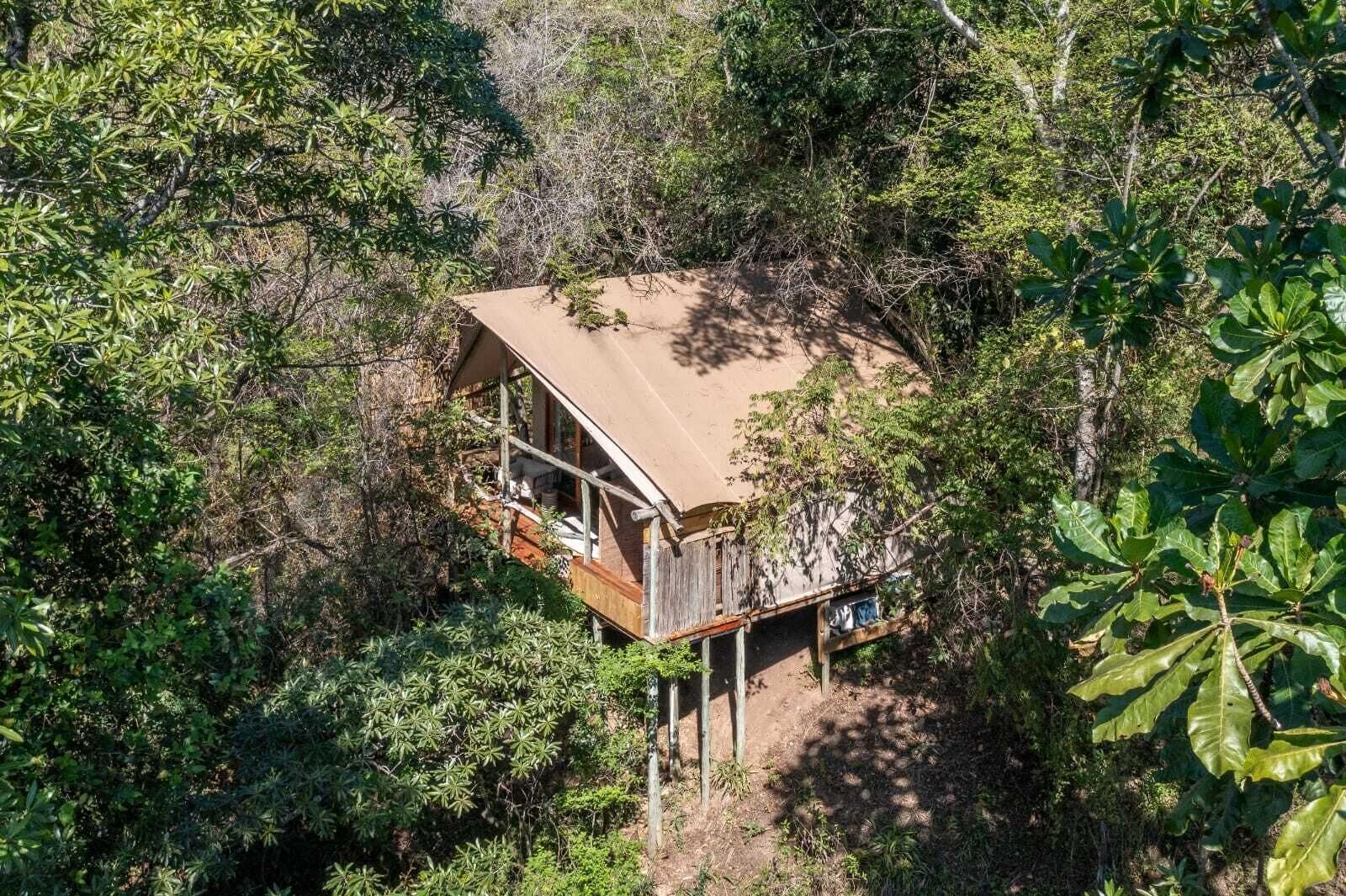 Ein abgelegenes Blockhaus, umgeben von dichtem Wald, mit einer Holzterrasse und einem großen, weit überhängenden Dach.